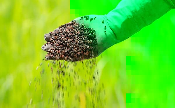 Produtores avaliam reduzir uso de fertilizantes diante de custos elevados