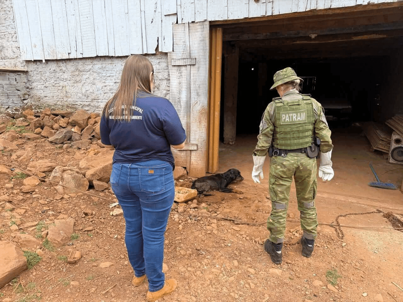 Cadela é resgatada em grave situação de maus-tratos em Erval Seco